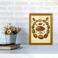 Conchologie Illustrationskunst Druck