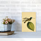 Kronen-Hummervogel-Kunstdruck