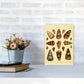 Conchologie Illustration 2 Kunstdruck
