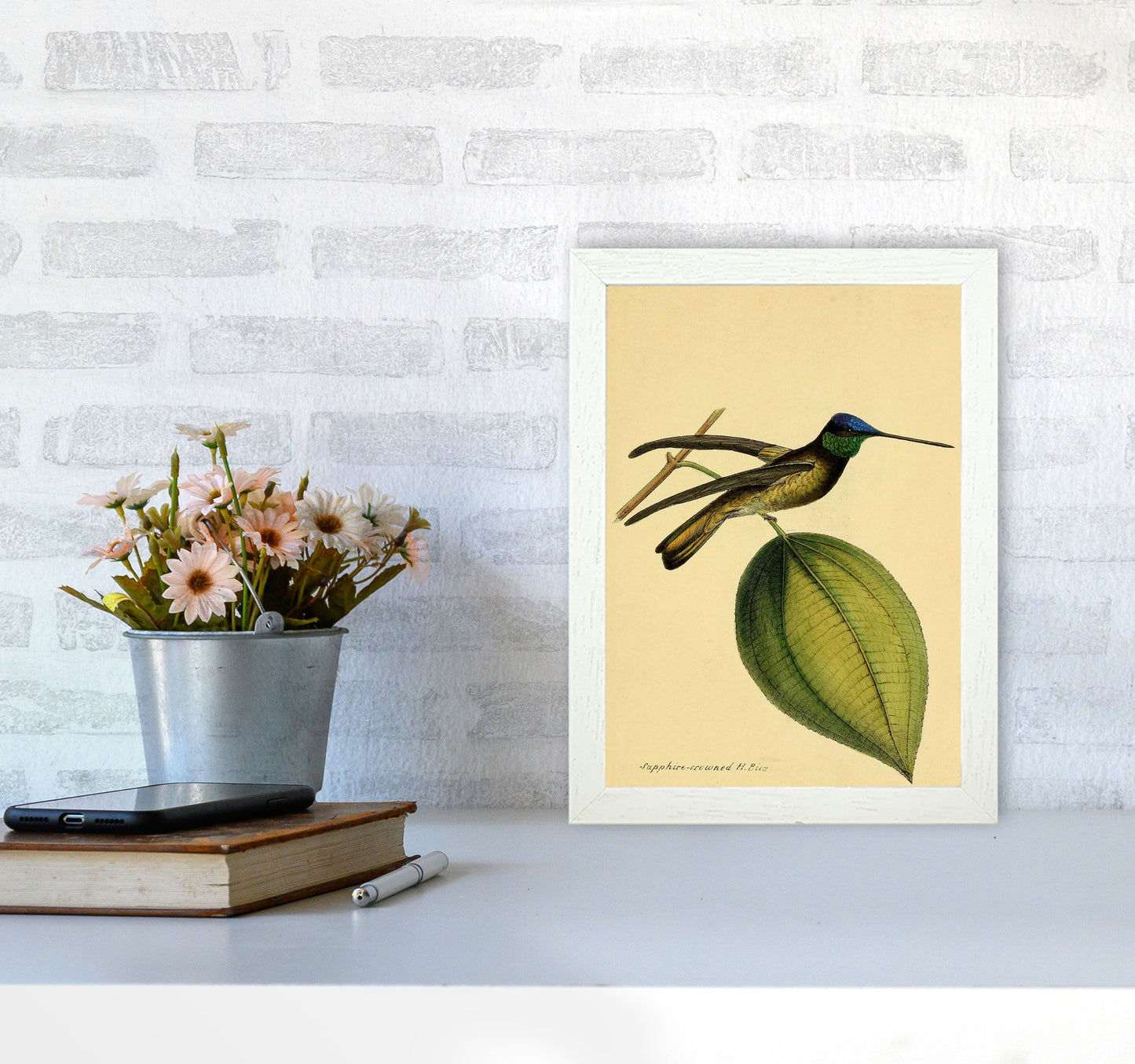 Kronen-Hummervogel-Kunstdruck