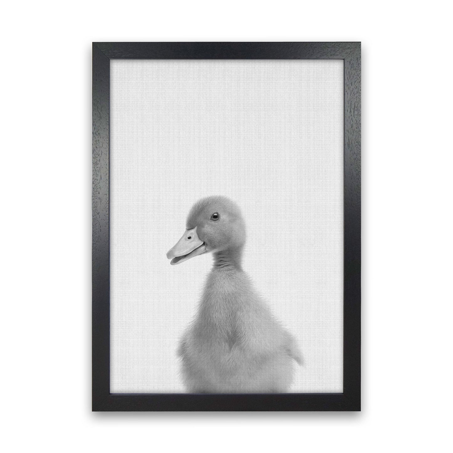 Neugieriger Enten Kunstdruck