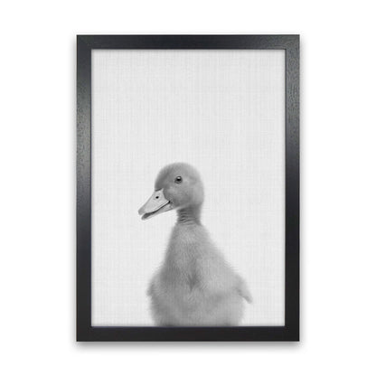 Neugieriger Enten Kunstdruck