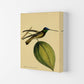 Kronen-Hummervogel-Kunstdruck