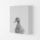 Neugieriger Enten Kunstdruck