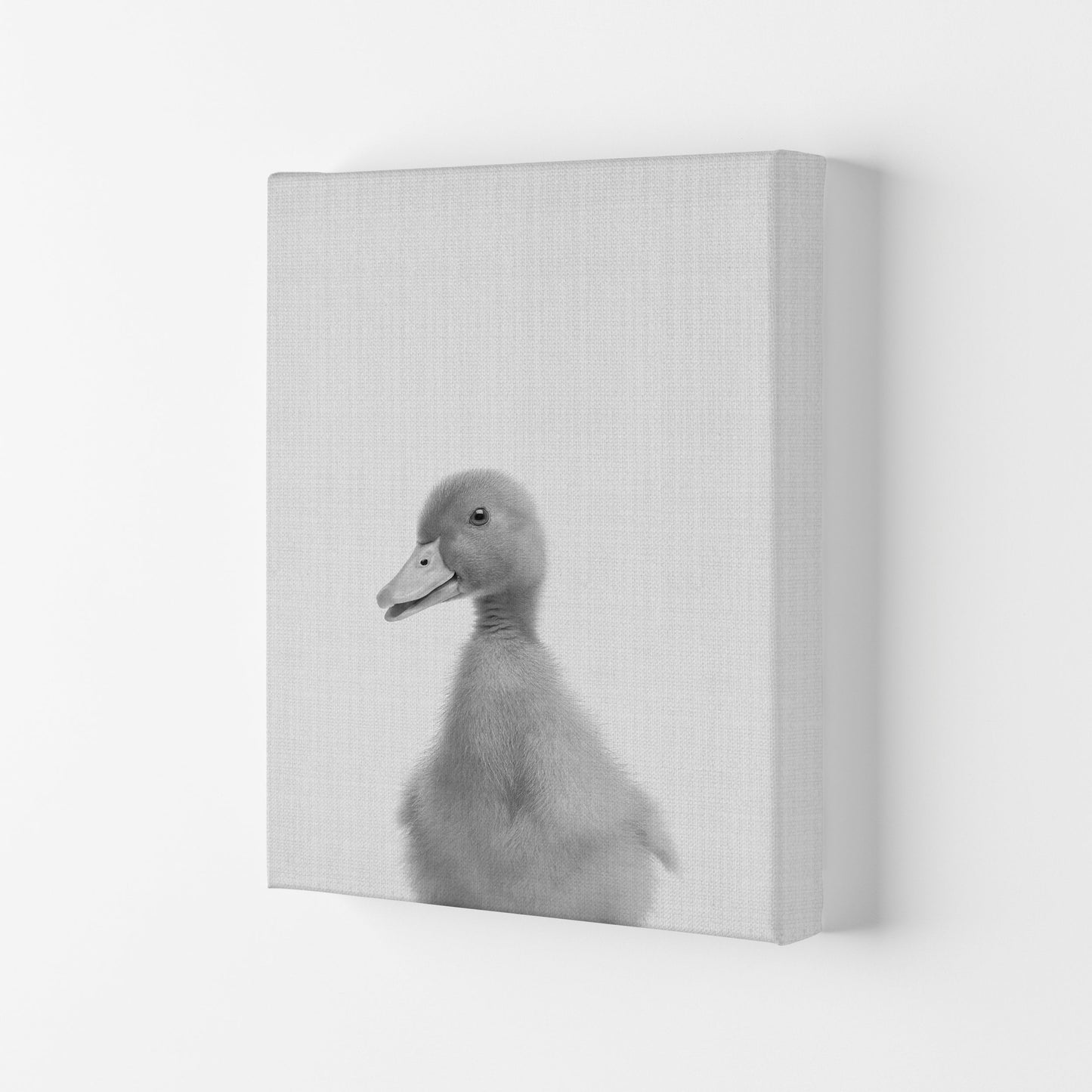 Neugieriger Enten Kunstdruck