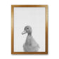 Neugieriger Enten Kunstdruck
