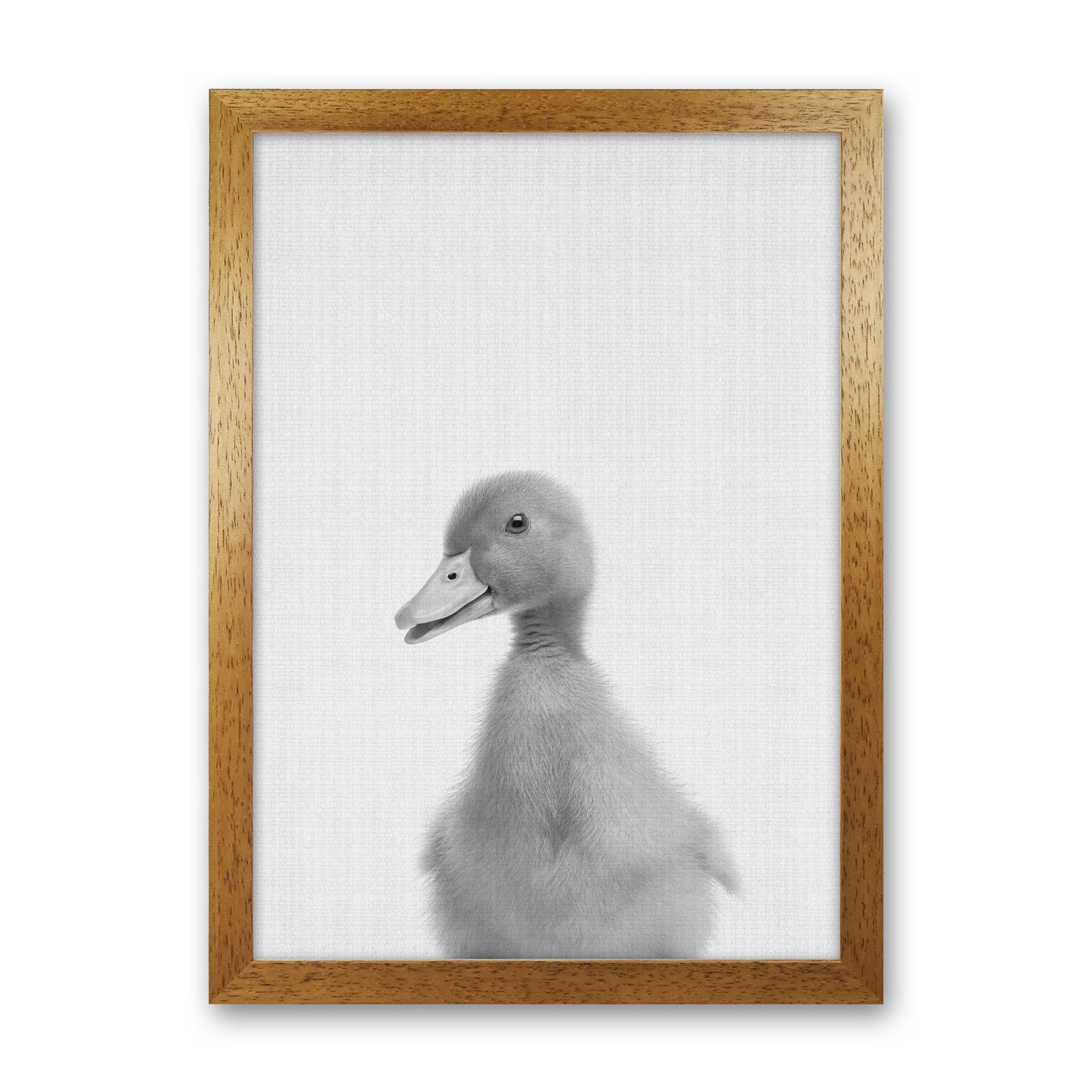 Neugieriger Enten Kunstdruck