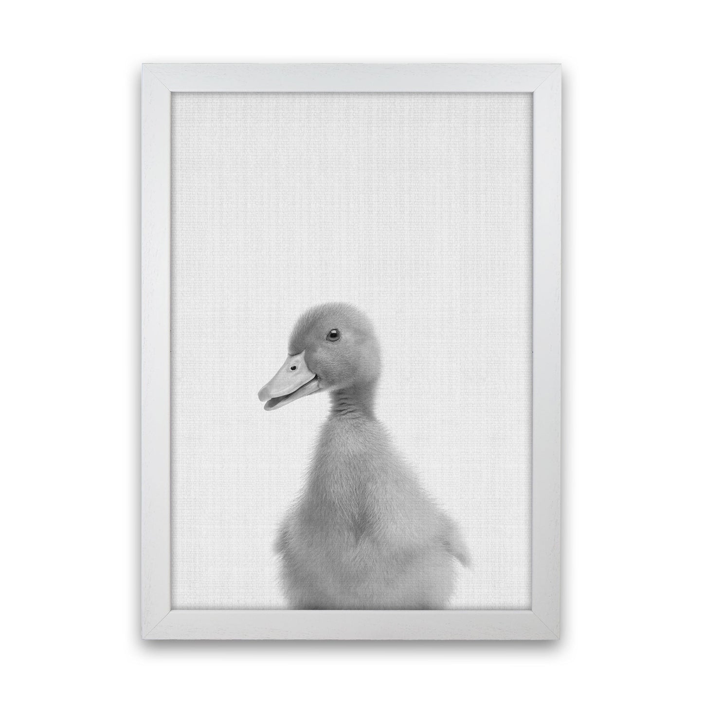 Neugieriger Enten Kunstdruck