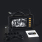 1080P HD Endoskopkamera mit 4,3 LCD & 8 LED-Leuchten