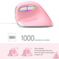 Frendorf | DELUX M618 Mini 2.4G Wireless 2400DPI USB wiederaufladbare ergonomische vertikale Maus (Pink)