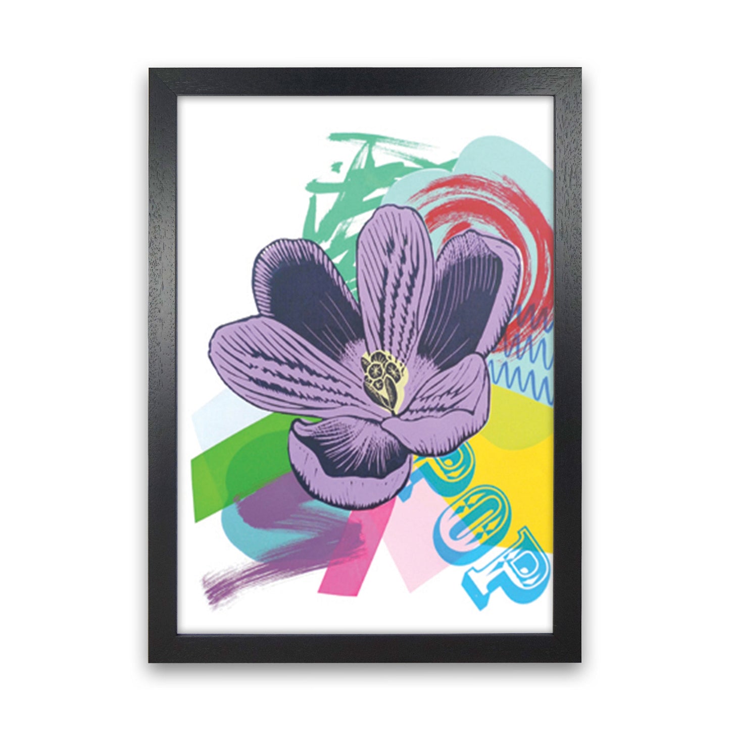 Crocus 1 Serie 1 Kunstdruck