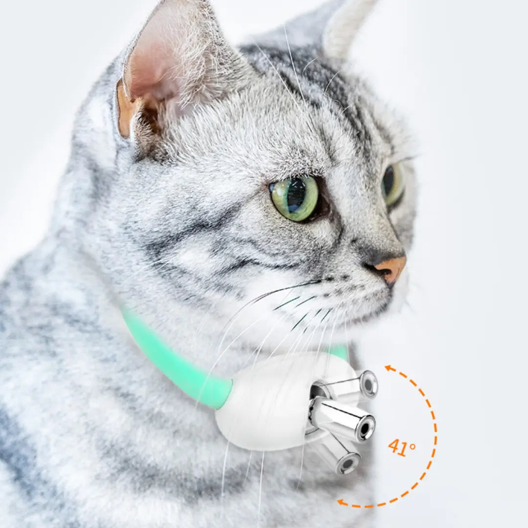 Frendorf | Katze Halsband Laser Licht Spielzeug – Endloser Spaß für Ihre Katze