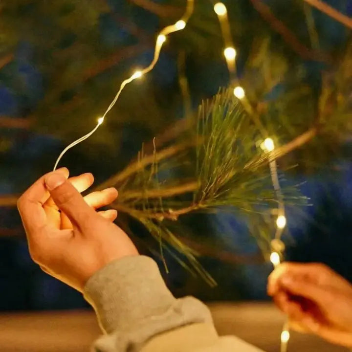 Frendorf | LED Lichterkette – 10m Kabel für Innen und Außen