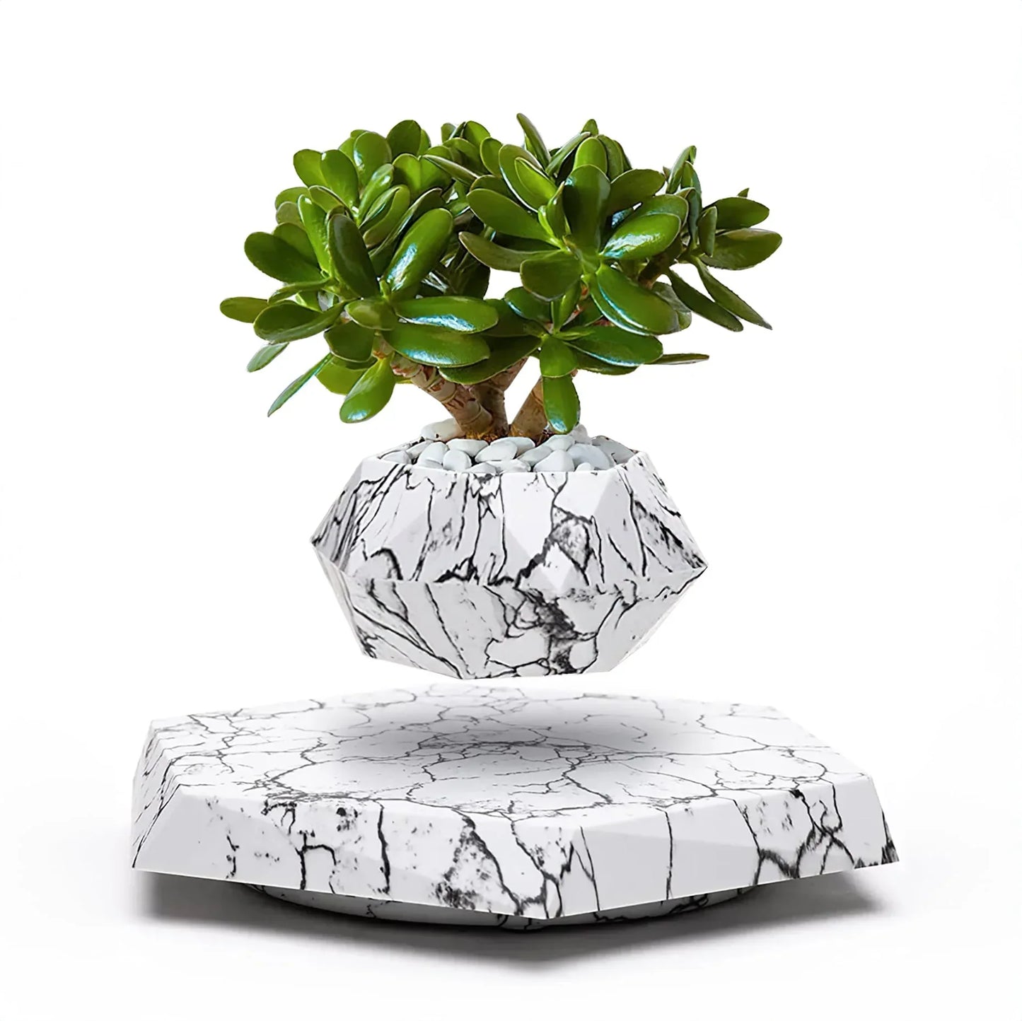 Frendorf | LeviPot Schwebender Blumentopf | Elegantes Design | Magnetisches Pflanzgefäß | Deko für Zuhause