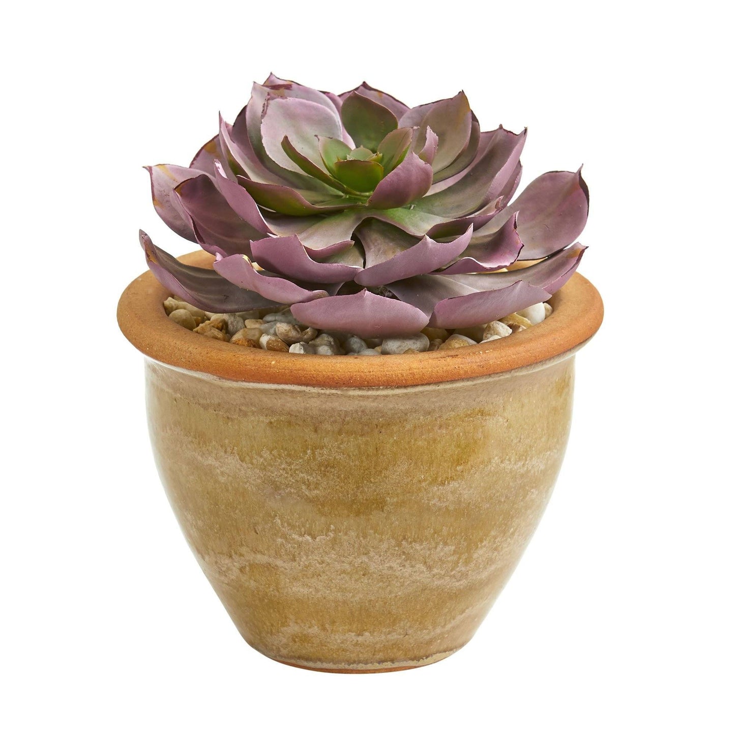 Große Sukkulente Kunstpflanze in Ceramic Vase (Set von 2)