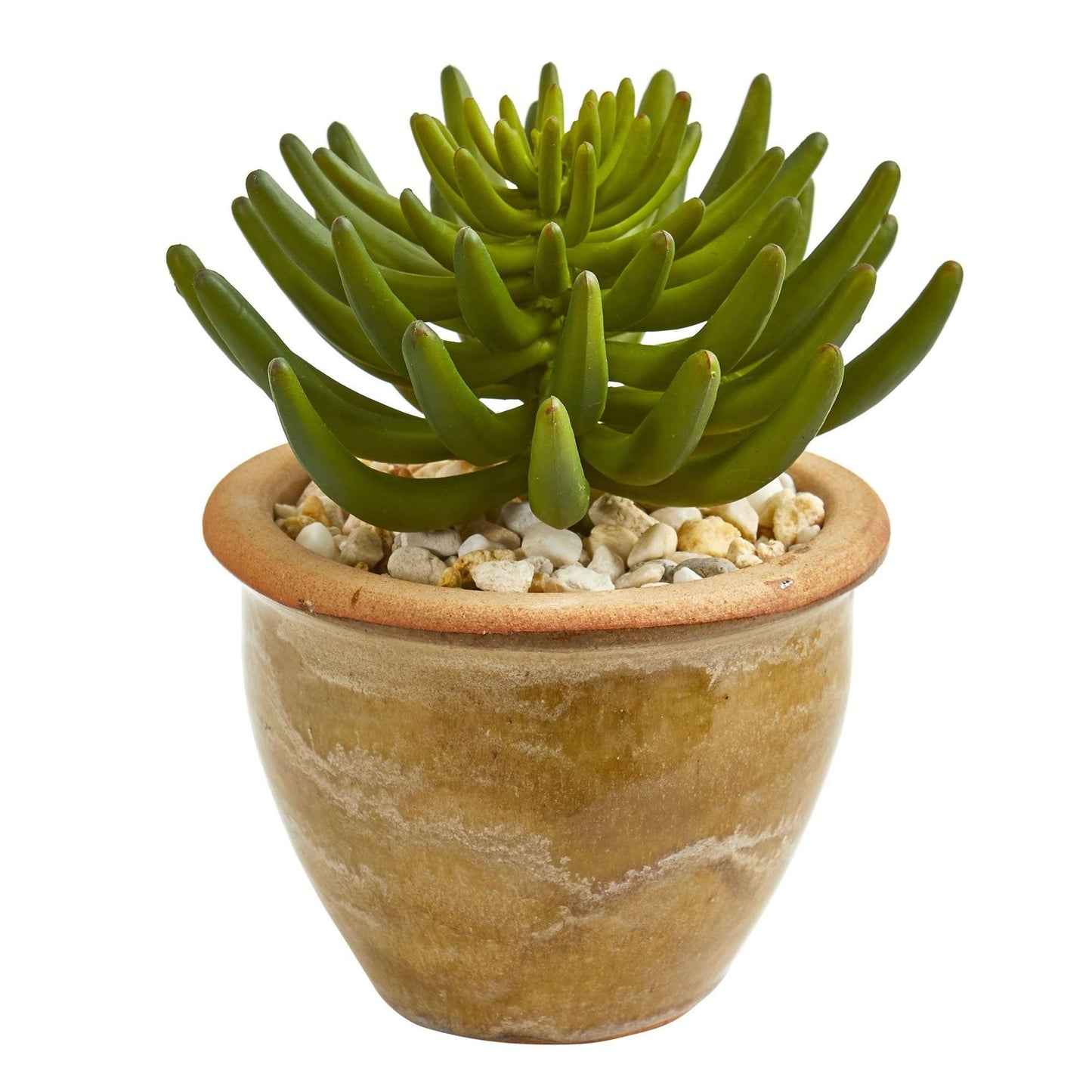 Große Sukkulente Kunstpflanze in Ceramic Vase (Set von 2)