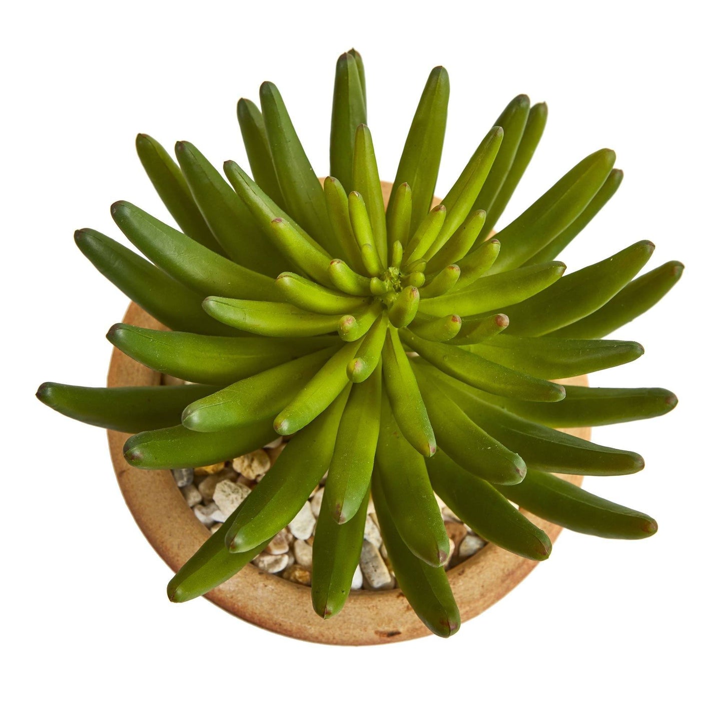 Große Sukkulente Kunstpflanze in Ceramic Vase (Set von 2)