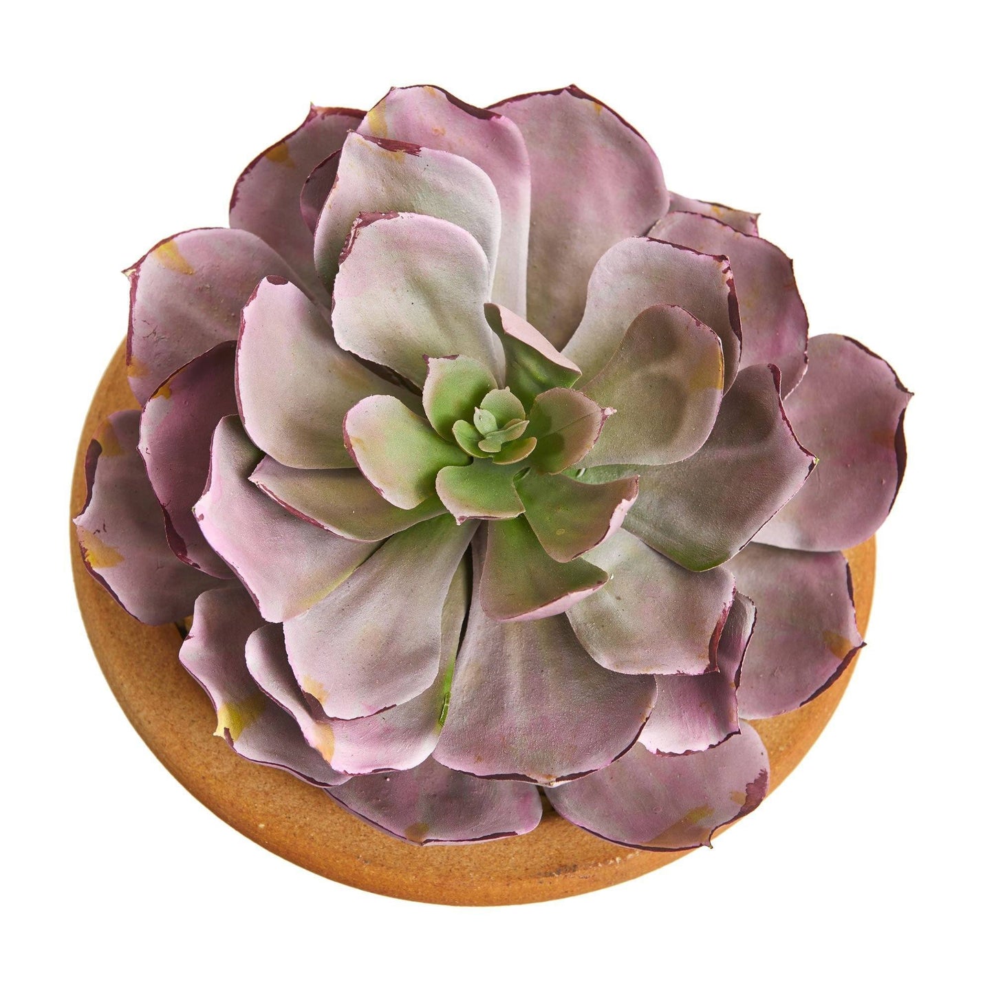 Große Sukkulente Kunstpflanze in Ceramic Vase (Set von 2)