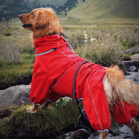 Große Hund Outdoor-Jacke wasserdicht verstellbarer Hunderegenmantel