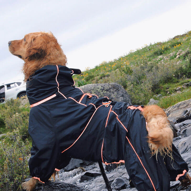 Große Hund Outdoor-Jacke wasserdicht verstellbarer Hunderegenmantel