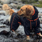 Große Hund Outdoor-Jacke wasserdicht verstellbarer Hunderegenmantel