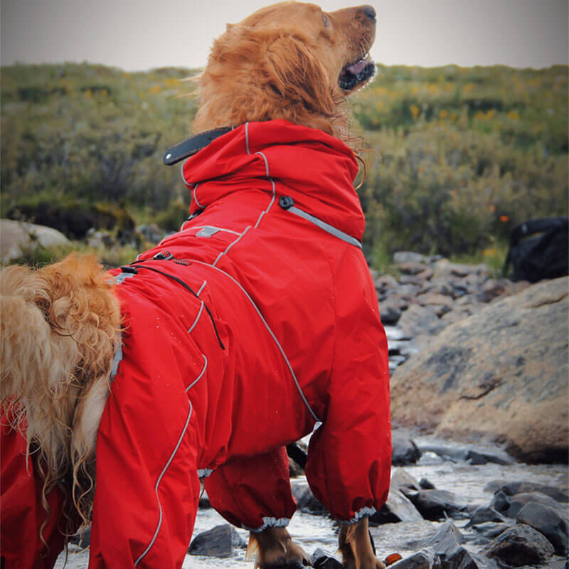 Große Hund Outdoor-Jacke wasserdicht verstellbarer Hunderegenmantel