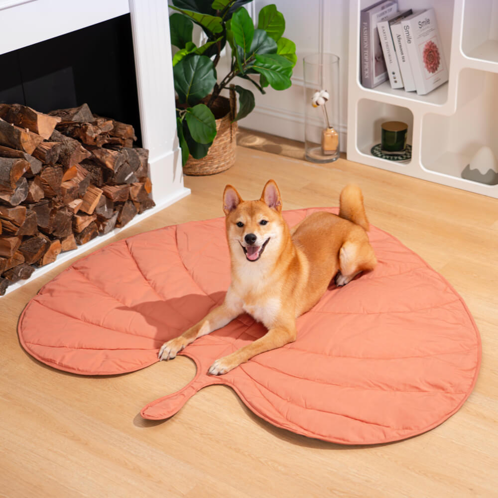 blattförmige hundedecke