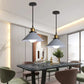Modern trifft - LED Industrie Horn Pendelleuchte