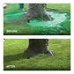 Flüssiges Rasensamenspray