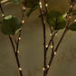 Frendorf | FairyGlow Olivenzweig LED Lichterkette | Feenlicht Dekoration | Stimmungsvolle Beleuchtung für Zuhause