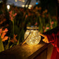 Frendorf | EcoFlare Solarglas-Licht | Nachhaltige Beleuchtung | Deko für Garten & Zuhause