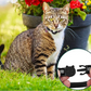 Frendorf | Katzen GPS Tracker Halsband | Schnellverschluss, reflektierendes Design & strapazierfähig für Outdoor-Sicherheitsabenteuer