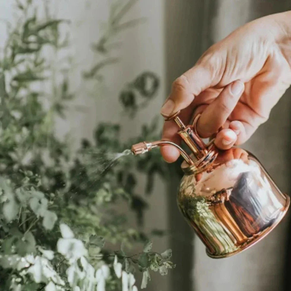 Frendorf | PlantLuxe Premium Pflanzensprüher | Goldene Sprühflasche für Pflanzenpflege | Stilvolles Zubehör für Zimmerpflanzen