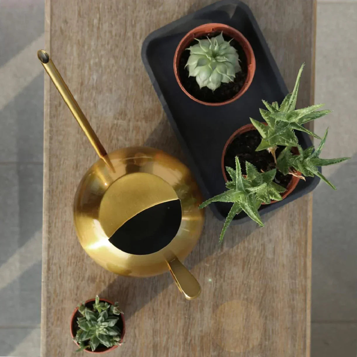 Frendorf | PlantFlow Minimalist Gießkanne | Modernes Design | Perfekt für Zimmerpflanzen