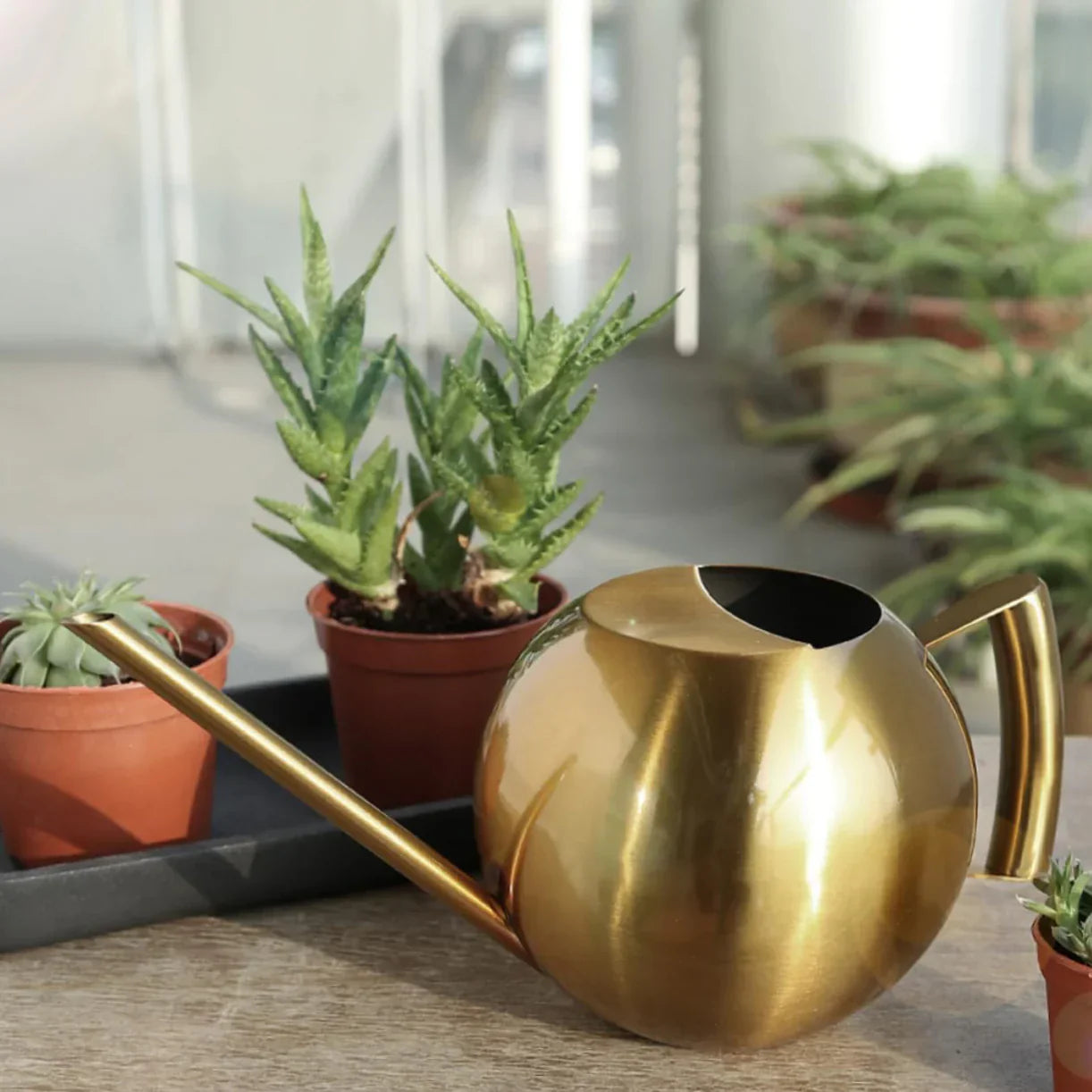 Frendorf | PlantFlow Minimalist Gießkanne | Modernes Design | Perfekt für Zimmerpflanzen