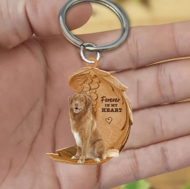 Frendorf | Nova Scotia Duck Tolling Retriever | Für immer in meinem Herzen