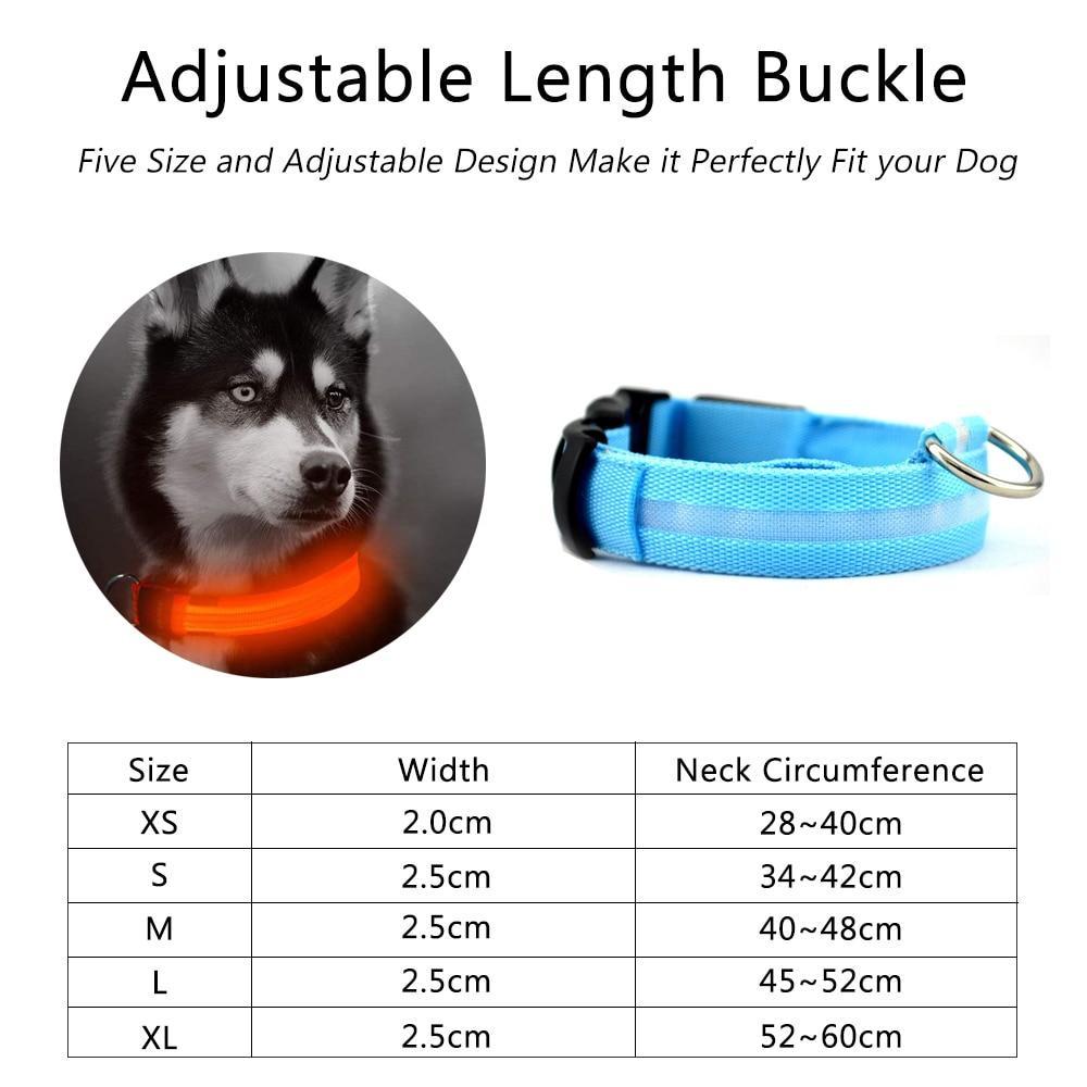 Frendorf | Nylon LED Haustier Hundehalsband, Nachtsicherheitsblinkendes Leuchthalsband, Hunde leuchtende fluoreszierende Halsbänder Haustierbedarf