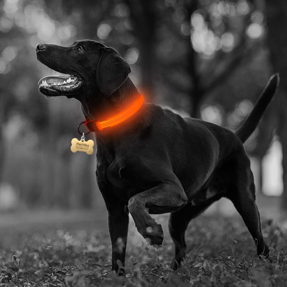Frendorf | Nylon LED Haustier Hundehalsband, Nachtsicherheitsblinkendes Leuchthalsband, Hunde leuchtende fluoreszierende Halsbänder Haustierbedarf