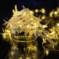 Frendorf | SolarGlim Dragonfly LED Lichterkette | Solarbetrieben | Wasserdicht | Party- & Gartenbeleuchtung