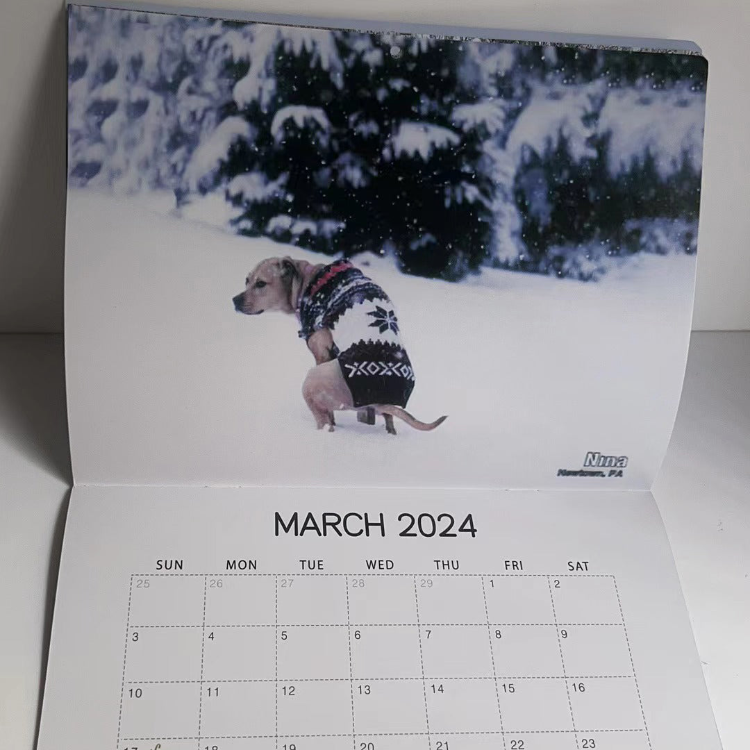 Frendorf | 📅2024 Lustigster Kalender-Hunde, die an schönen Orten kacken | "Künstlerischer Ausdruck" pelziger Freunde