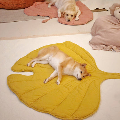 blattförmige hundedecke