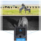 Frendorf | PR-200B 120 Grad Weitwinkelobjektiv IP56 Wasserdicht 12MP 1080P HD Infrarot Jagd Trail Kamera, Unterstützung TF Karte, PIR Entfernung: 10-15m (Schwarz)