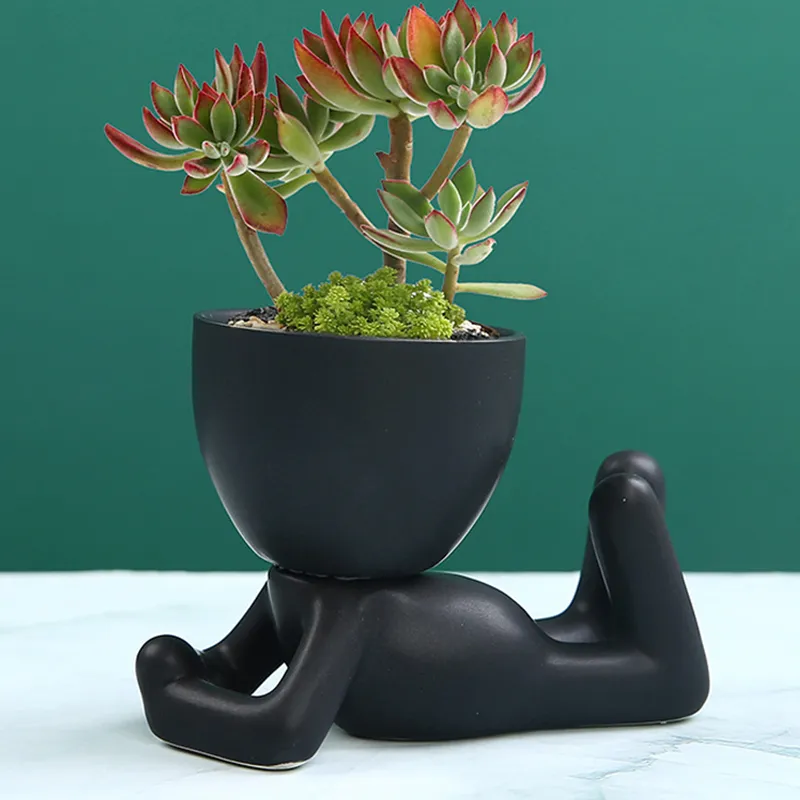 Pflanzenhalter - OasisGrow - Verbesserte Wachstum & Stil - Essentiell für Gartenliebhaber