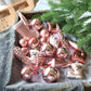Frendorf | 21 Stück Weihnachtsbaumkugel