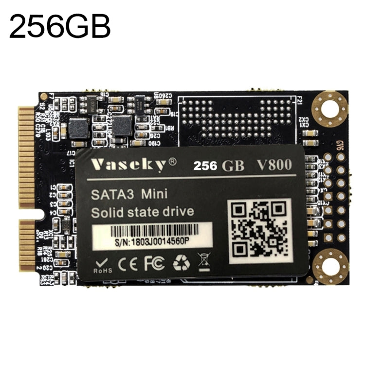 Frendorf | Vaseky V800 256GB 1.8 Zoll SATA3 Mini Interner Solid State Drive MSATA SSD Modul für Laptop