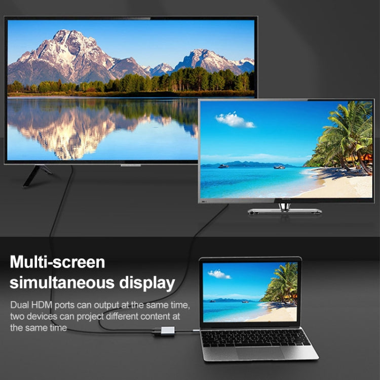 Frendorf | 2 in 1 USB-C / Type-C zu 2 x HDTV Ports HUB Adapter