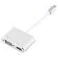 Frendorf | 2 in 1 4Kx2K Mini DisplayPort zu VGA & HDMI Adapter (Silber)