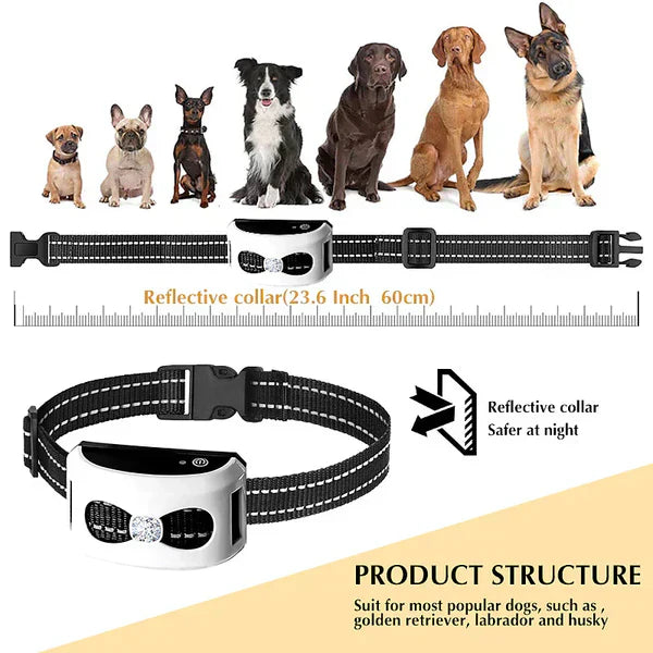 Frendorf | PawPal Hundehalsband Ohne Kabel – Freiheit und Sicherheit für Ihren Hund