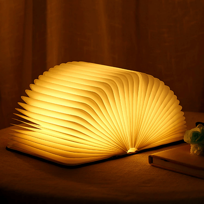 Frendorf Bücherlampe