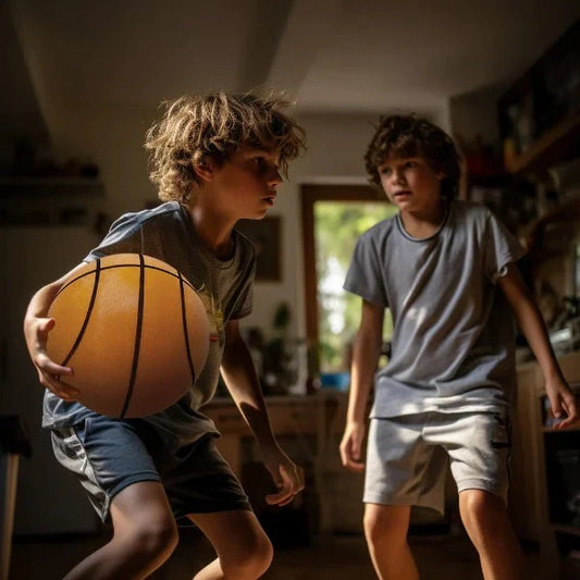 Frendorf | Indoor Silent Basketball